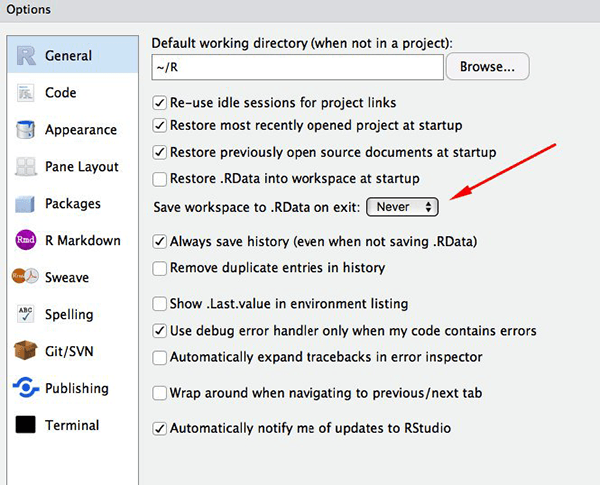 Set 'Save workspace to .RData on exit' to 'Never'